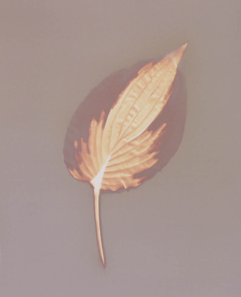 Angela Easterling Exhibition at Apothecary Hammersmith